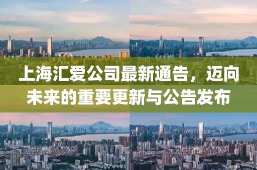 上海匯愛公司最新通告，邁向未來的重要更新與公告發(fā)布