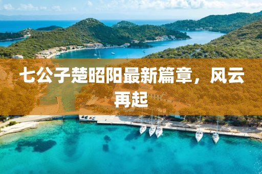 七公子楚昭陽最新篇章，風(fēng)云再起