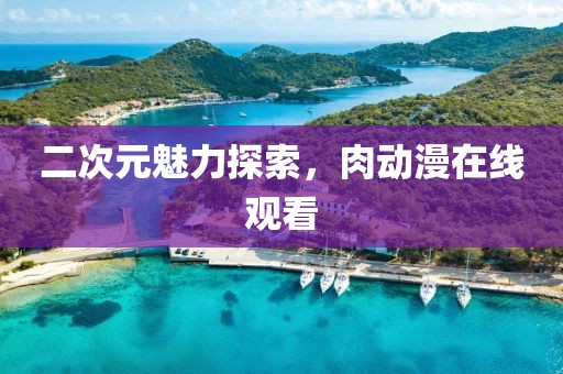 二次元魅力探索，肉動漫在線觀看