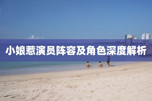 小娘惹演員陣容及角色深度解析