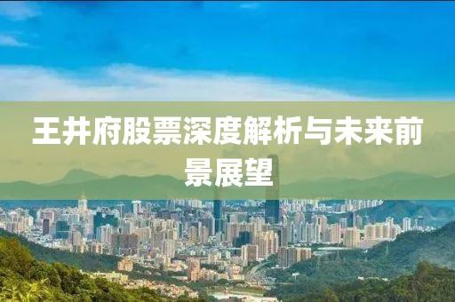 王井府股票深度解析與未來(lái)前景展望