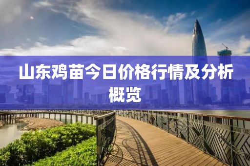 山東雞苗今日價(jià)格行情及分析概覽