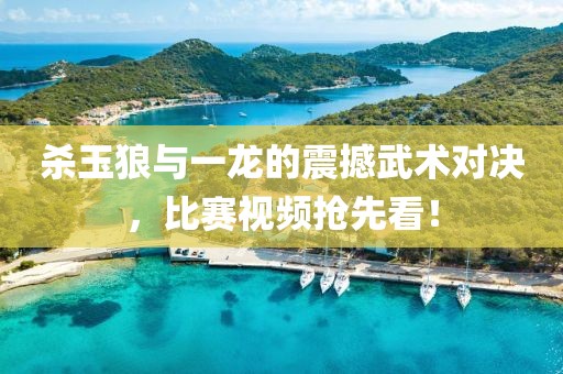殺玉狼與一龍的震撼武術(shù)對決，比賽視頻搶先看！