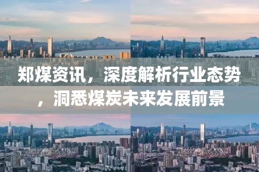 鄭煤資訊，深度解析行業(yè)態(tài)勢，洞悉煤炭未來發(fā)展前景