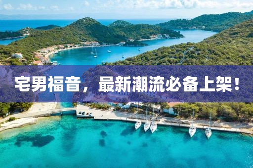 宅男福音，最新潮流必備上架！