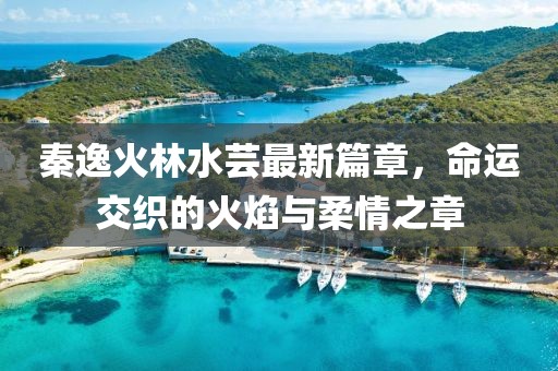 秦逸火林水蕓最新篇章，命運(yùn)交織的火焰與柔情之章