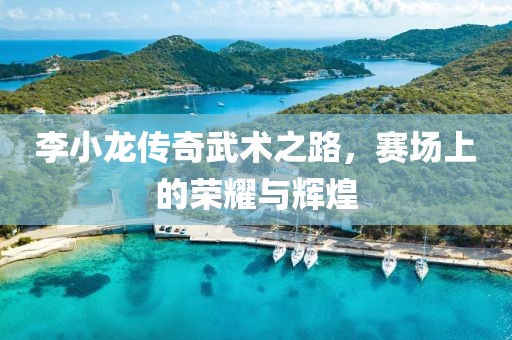 李小龍傳奇武術(shù)之路，賽場(chǎng)上的榮耀與輝煌