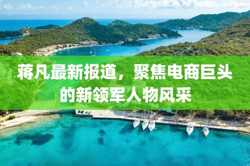 蔣凡最新報(bào)道，聚焦電商巨頭的新領(lǐng)軍人物風(fēng)采