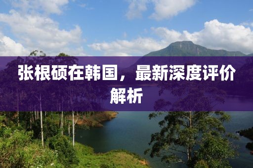 張根碩在韓國，最新深度評價(jià)解析