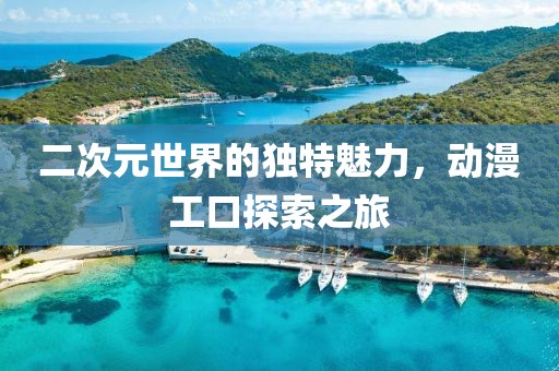 二次元世界的獨(dú)特魅力，動漫工口探索之旅