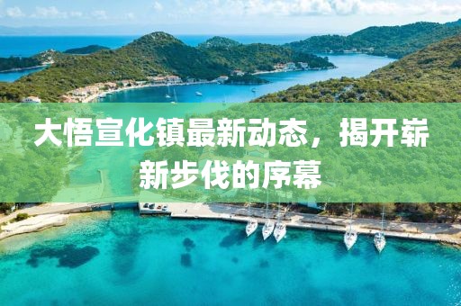大悟宣化鎮(zhèn)最新動(dòng)態(tài)，揭開嶄新步伐的序幕