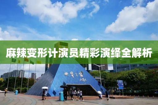 麻辣變形計(jì)演員精彩演繹全解析