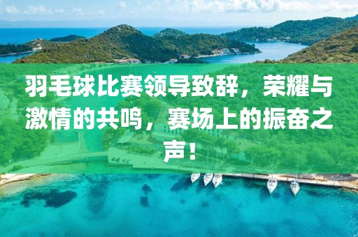 羽毛球比賽領(lǐng)導(dǎo)致辭，榮耀與激情的共鳴，賽場上的振奮之聲！