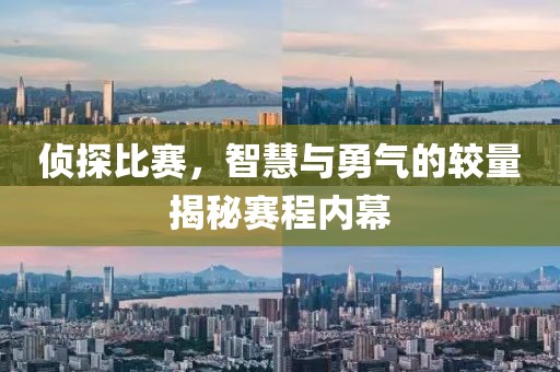 偵探比賽，智慧與勇氣的較量揭秘賽程內(nèi)幕