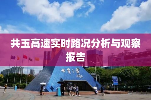 共玉高速實(shí)時(shí)路況分析與觀察報(bào)告