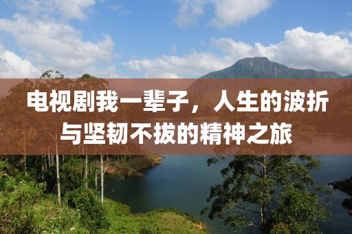 電視劇我一輩子，人生的波折與堅韌不拔的精神之旅