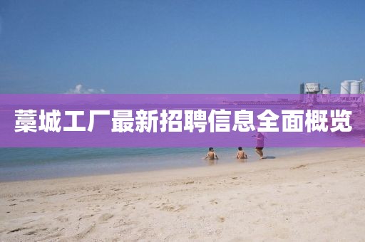 藁城工廠最新招聘信息全面概覽