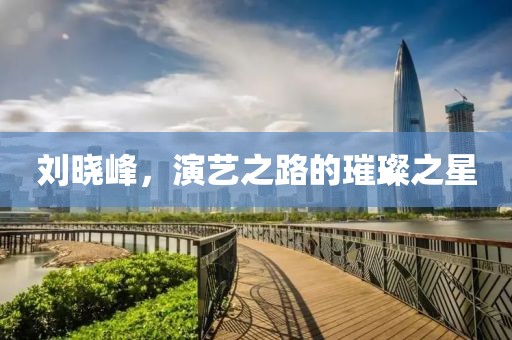 劉曉峰，演藝之路的璀璨之星