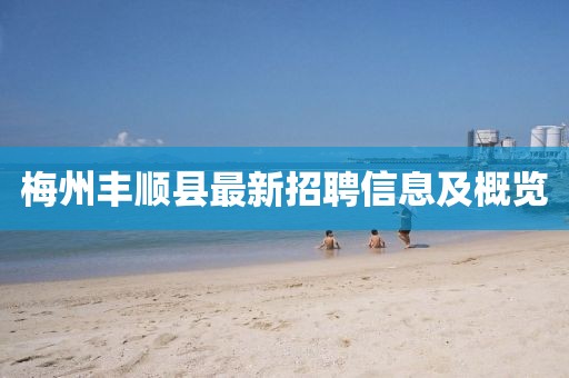 梅州豐順縣最新招聘信息及概覽