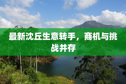 最新沈丘生意轉(zhuǎn)手，商機(jī)與挑戰(zhàn)并存