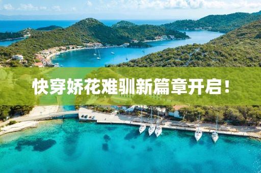 快穿嬌花難馴新篇章開啟！