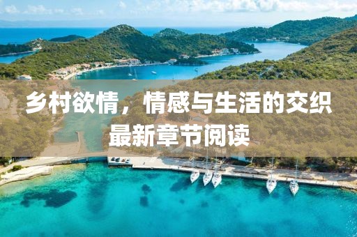 鄉(xiāng)村欲情，情感與生活的交織最新章節(jié)閱讀