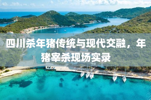 四川殺年豬傳統(tǒng)與現(xiàn)代交融，年豬宰殺現(xiàn)場實錄