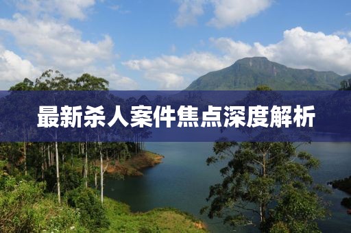 最新殺人案件焦點深度解析