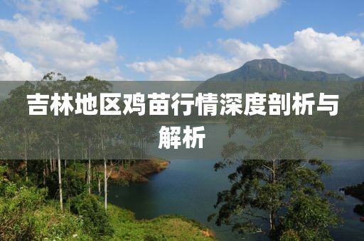 吉林地區(qū)雞苗行情深度剖析與解析