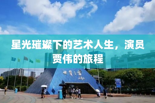 星光璀璨下的藝術(shù)人生，演員賈偉的旅程