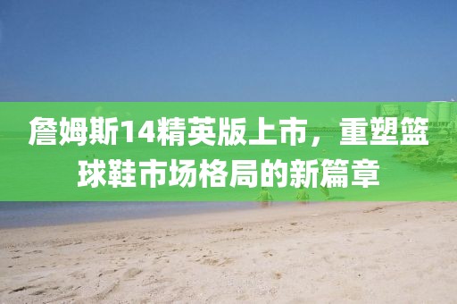 詹姆斯14精英版上市，重塑籃球鞋市場格局的新篇章