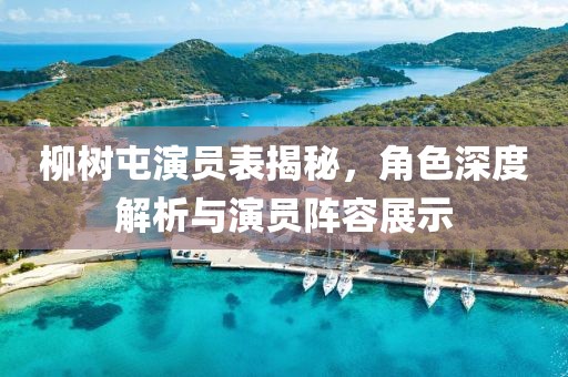 柳樹屯演員表揭秘，角色深度解析與演員陣容展示