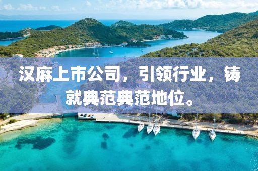 漢麻上市公司，引領(lǐng)行業(yè)，鑄就典范典范地位。