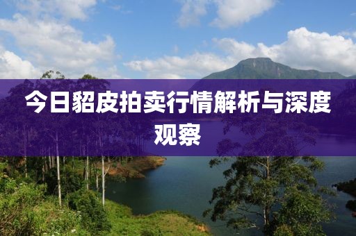 今日貂皮拍賣行情解析與深度觀察