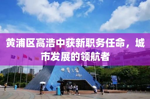 黃浦區(qū)高浩中獲新職務(wù)任命，城市發(fā)展的領(lǐng)航者
