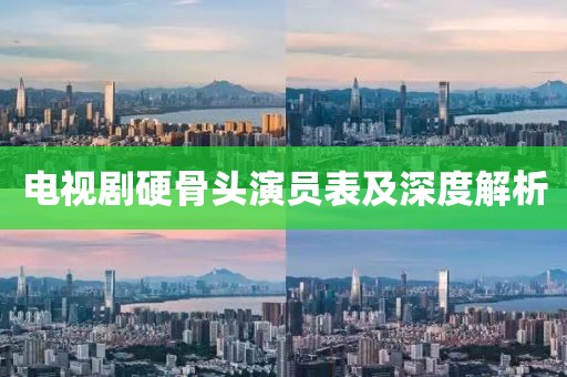 電視劇硬骨頭演員表及深度解析