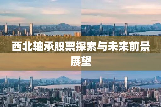 西北軸承股票探索與未來前景展望