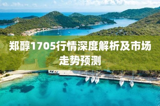鄭醇1705行情深度解析及市場(chǎng)走勢(shì)預(yù)測(cè)