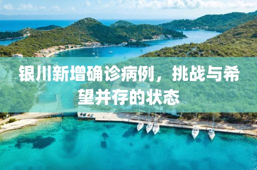 銀川新增確診病例，挑戰(zhàn)與希望并存的狀態(tài)