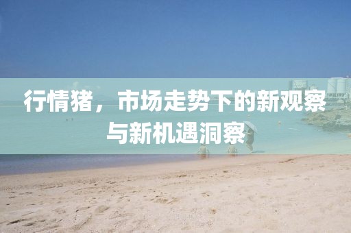 行情豬，市場走勢下的新觀察與新機遇洞察