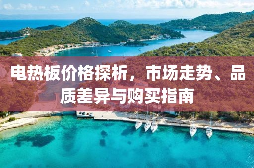 電熱板價格探析，市場走勢、品質差異與購買指南