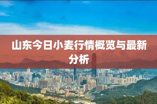 山東今日小麥行情概覽與最新分析