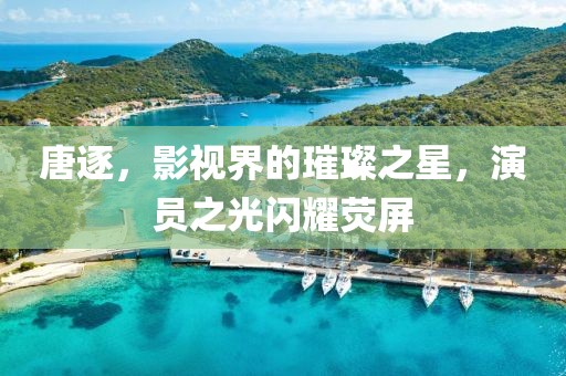 唐逐，影視界的璀璨之星，演員之光閃耀熒屏