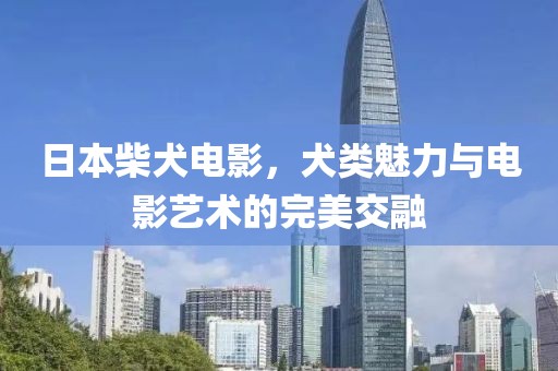 日本柴犬電影，犬類魅力與電影藝術(shù)的完美交融