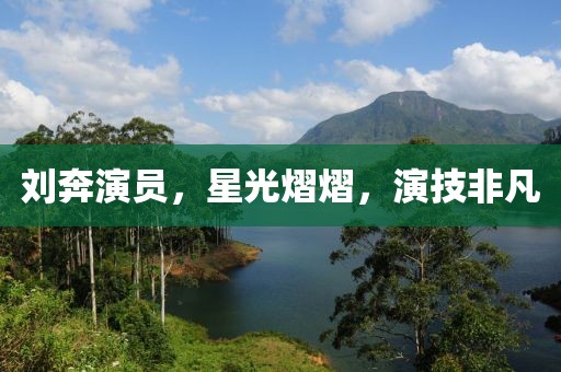劉奔演員，星光熠熠，演技非凡