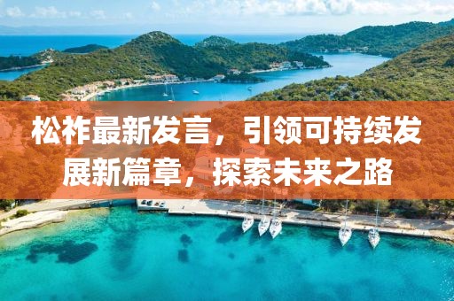 松祚最新發(fā)言，引領(lǐng)可持續(xù)發(fā)展新篇章，探索未來之路