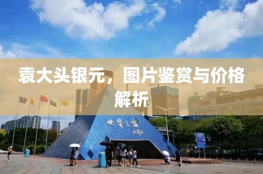 袁大頭銀元，圖片鑒賞與價(jià)格解析