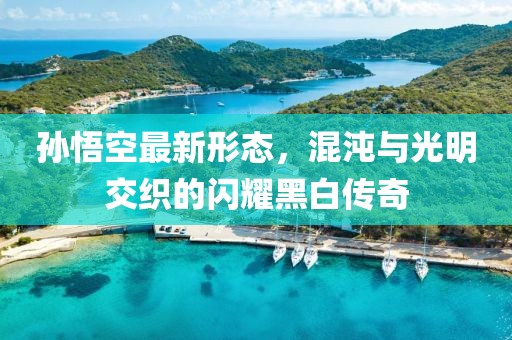 孫悟空最新形態(tài)，混沌與光明交織的閃耀黑白傳奇