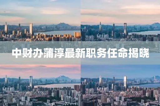 中財(cái)辦蒲淳最新職務(wù)任命揭曉