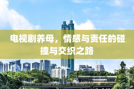 電視劇養(yǎng)母，情感與責(zé)任的碰撞與交織之路